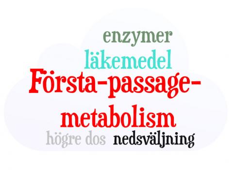 Första-passage-metabolism